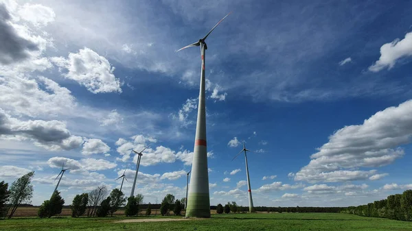 ベルリン ドイツの近くの風力タービンや風車の農場フィールドの夕景 ロイヤリティフリーのストック画像