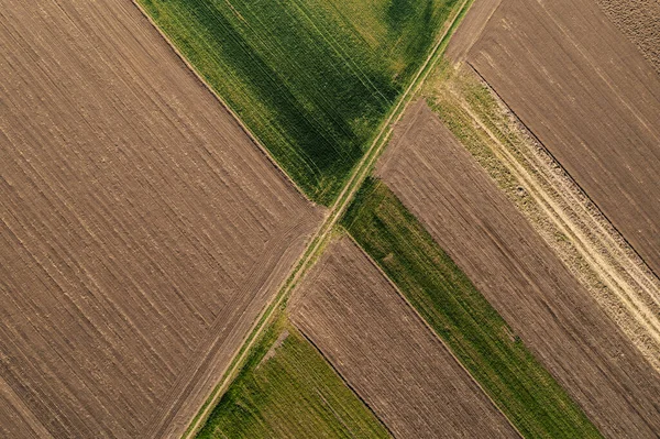 Top View Wheat Grass Field Drone Pov Abstract Agricultural Background — ストック写真