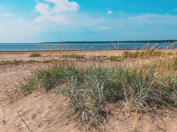 Yazın Sveç Halmstad Kentindeki Vastra Stranden Veya Western Beach Kattegat — Stok fotoğraf