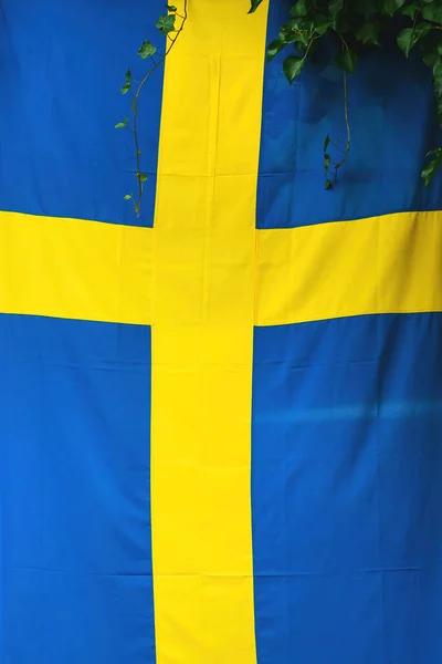 Pełzająca Roślina Bluszcz Pozostawia Nad Szwedzką Flagą Obraz Pionowy — Zdjęcie stockowe