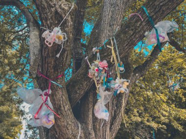 Halmstad, İsveç 'te ağaç dalında asılı duran bebek emziği - seçici odak