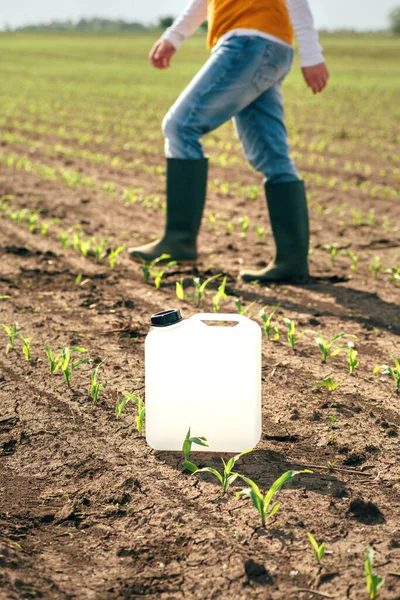 Herbicide Jug Container Corn Seedling Field Farmer Walking Background Selective — Foto de Stock