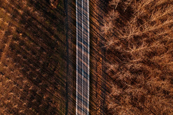 Boş Yolun Sonbahar Günbatımında Ağaçlık Arazinin Hava Görüntüsü Insansız Hava — Stok fotoğraf