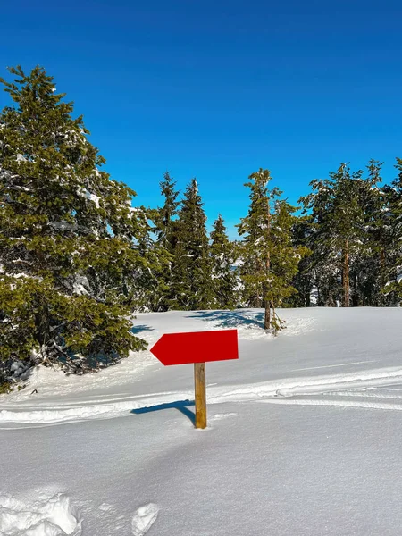 Direzione Indicazioni Nella Pineta Ricoperta Neve Inverno Sul Monte Zlatibor — Foto Stock