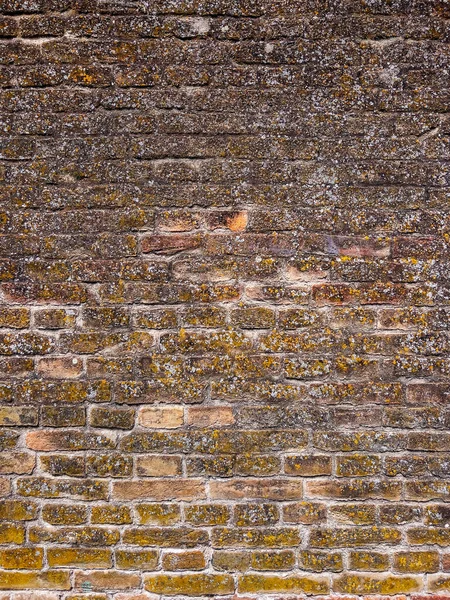 Alte Ziegelmauer Als Hintergrund Mit Schimmel Bedeckt Vintage Mauerwerk Muster — Stockfoto