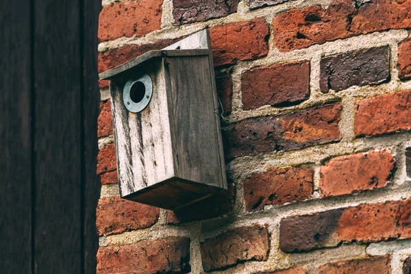 Παλιά Ξύλινη Φωλιά Κουτί Πουλί Σπίτι Στον Τοίχο Επιλεκτική Εστίαση — Φωτογραφία Αρχείου