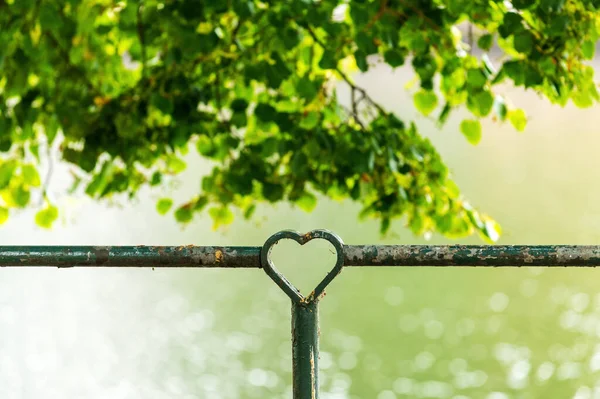 Καρδιά Σχήμα Σιδερένια Περίφραξη Στολίδι Στο Halmstad Στη Σουηδία Επιλεκτική — Φωτογραφία Αρχείου