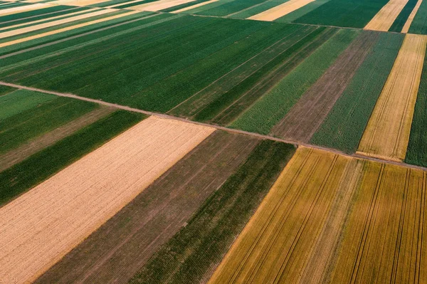 农业文摘背景 美丽多姿多彩的无人机耕地拼凑模式 — 图库照片