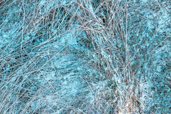 抽象的な冬の背景として乾燥した草の上の霜と雪 — ストック写真