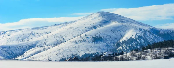この人気のセルビアの旅行先で冬のZlatibor山の風景 丘の上の家や木で雪 — ストック写真