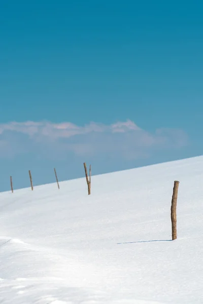 Zlatibor风景雪地无牛奶农场围栏木棍 — 图库照片