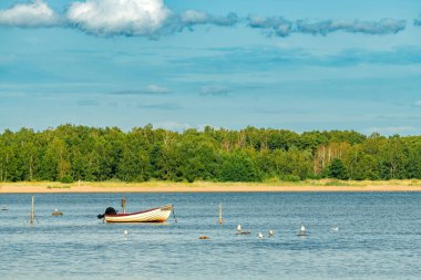 İsveç 'in Halmstad kentindeki Kattegat Denizi' nde motorlu boş bir balıkçı teknesine demirlemiş. Seçici odak.