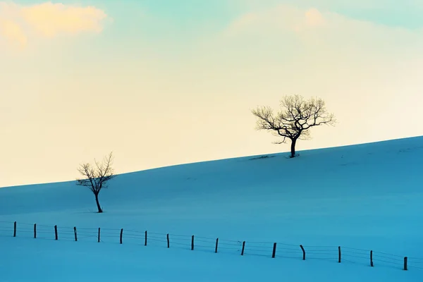 Лиственные Деревья Голыми Ветвями Снежных Холмах Зимой Горе Златибор Сербии — стоковое фото