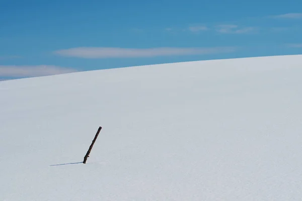 Bastone Legno Neve Bianca Fredda Che Copre Collina Zlatibor Paesaggio — Foto Stock