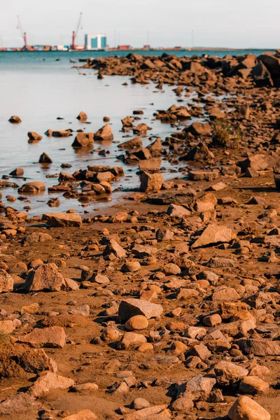 Скелястий Пейзаж Морського Узбережжя Каттегату Хальмстаді Швеція Вибіркове Зосередження — стокове фото