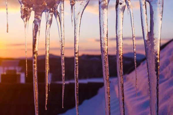 Icicles Hanging Roof Winter Sunset Selective Focus — Stock Photo, Image