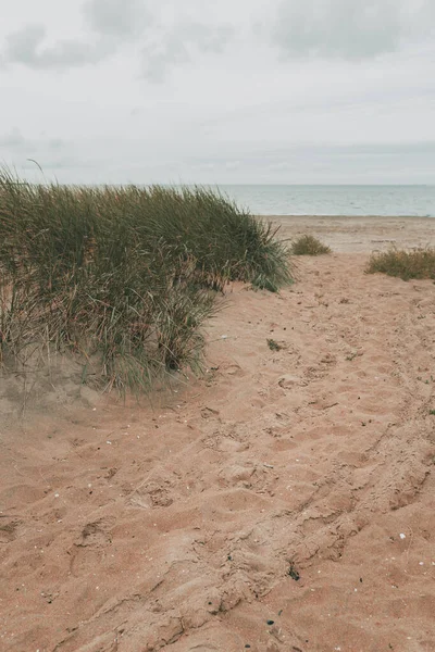 Halmstad West Plajı Kattegat Denizi Nin Kumlu Kıyılarında Çimenler Bulutlu — Stok fotoğraf