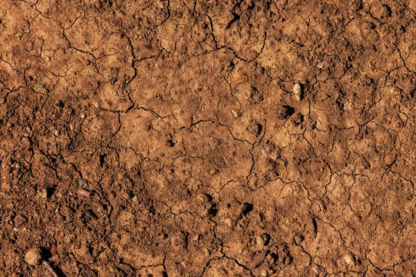 Dry Brown Earth Surface Background Top View — Stock Photo, Image