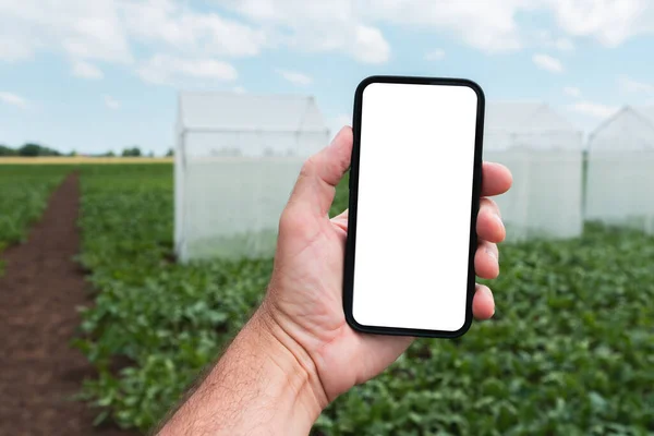 Farm Worker Holding Mobile Smart Phone Blank Mockup Screen Cultivated — Foto Stock