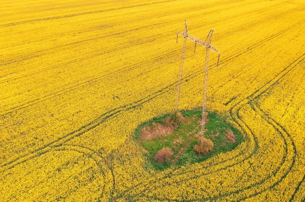 Electricity Pylon Power Lines Blooming Rapeseed Crops Field Aerial View — Stockfoto