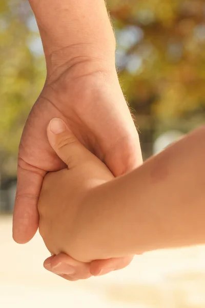 Mother Toddler Son Holding Hands Outdoor While Walking Park Parental — Stock fotografie
