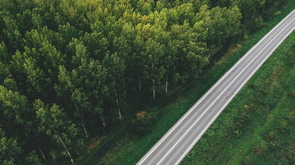 Aerial shot of two lane highway through green poplar tree woodland from drone pov, high angle view