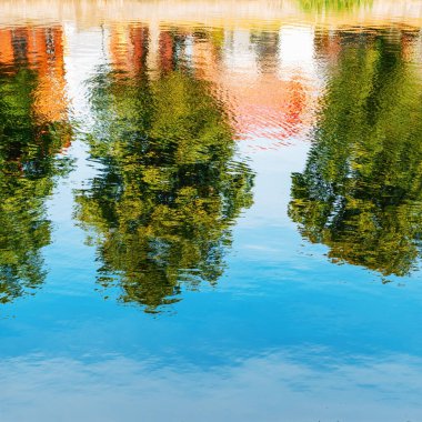 Green treetops reflecting of the Nissan river water surface in Halmstad, Sweden