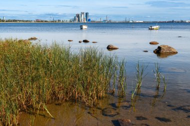 Halmstad coastline of Kattegat sea with industrial port in background. Selective focus.