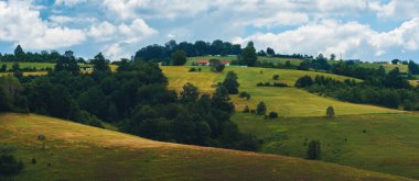 Güneşli yaz gününde yeşil tepelere dağılmış kendine özgü mimari tarzlı evleri olan güzel manzaralı Zlatibor bölgesi.