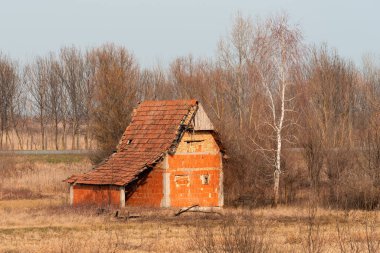 Old abandoned house in meadow on sunny autumn day