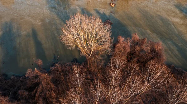 Aerial View Flooded Woodland Winter Frozen Water Surface Drone Pov — Stock Photo, Image