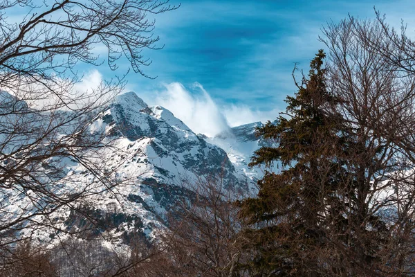 冬にスロベニアのジュリアンアルプスの雪に覆われた山の頂上 選択的な焦点 — ストック写真