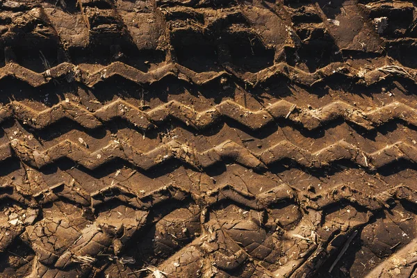 Agricultural Tractor Tire Tracks Dirt Road Ground Top View — 스톡 사진