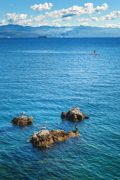 Kvarner Golfo Mar Adriático Croácia Gaivotas Corvos Marinhos Descansando Sobre — Fotografia de Stock