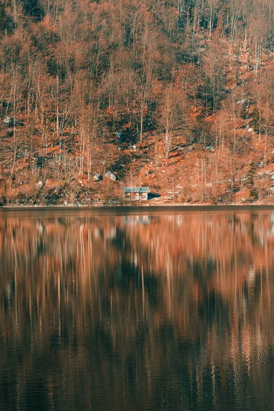Wooden Cottage Lake Bohinj Shore Slovenian National Park Triglav Famous — Stock Photo, Image