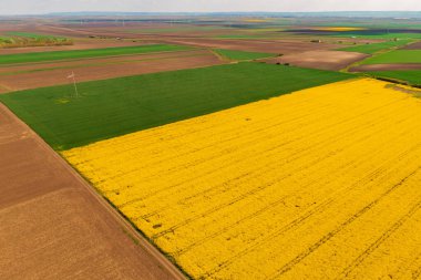 Kolza tohumu, buğday ve mısır tarlaları ve drone pov ile güzel ekilmiş arazinin hava görüntüsü.
