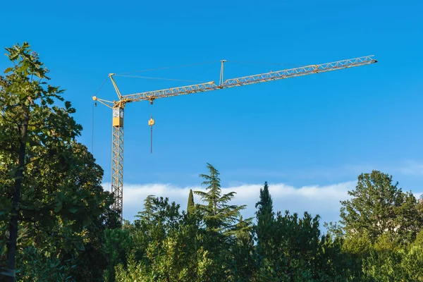 Construction Crane Rising Public Park Trees Selective Focus — Stock Photo, Image