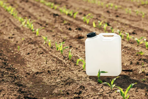 Blank White Herbicide Canister Can Corn Seedling Field Springtime Sunset — Foto de Stock