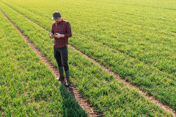 Inteligentne Rolnictwo Rolnik Korzystający Zdalnego Sterowania Pilotowania Drona Rolniczego Obserwacji — Zdjęcie stockowe