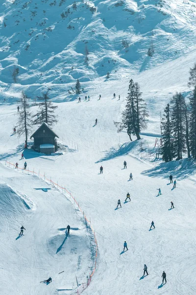 Gran Grupo Esquiadores Disfrutando Soleado Día Invierno Pista Esquí Gente —  Fotos de Stock