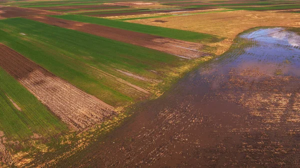 Campos Agrícolas Inundados Primavera Vista Aérea Desde Punto Vista Del — Foto de Stock