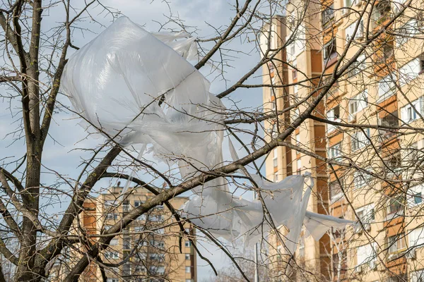 アパートの建物を背景に 路上で木の上にプラスチック製のラップ材料 選択的な焦点 — ストック写真
