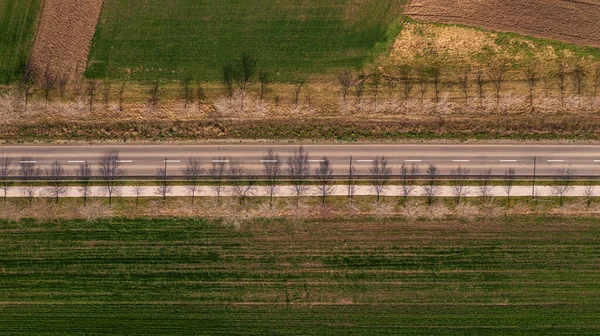 用树线投影仪在柏油路上拍摄的直通乡间风景的俯瞰航拍 — 图库照片