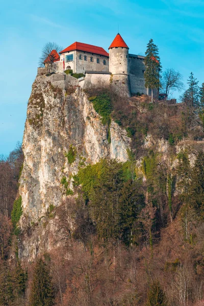 Die Bleder Burg Ist Die Älteste Burg Sloweniens Und Eines — Stockfoto