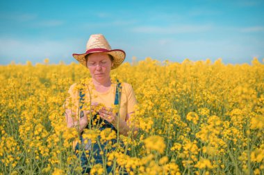 Kadın tarım uzmanı tarlada gelişen kolza tohumu tarlalarını araştırıyor, tarlada çalışan kadın, seçici odaklanma.