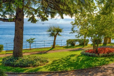 Adriyatik 'in Kvarner Körfezi' ndeki eski Lovran kasabasındaki güzel halk parkı.