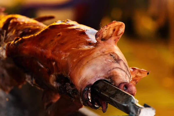 Voller Schweinespieß Gebraten Auf Traditionellem Fest Serbien Selektiver Fokus — Stockfoto