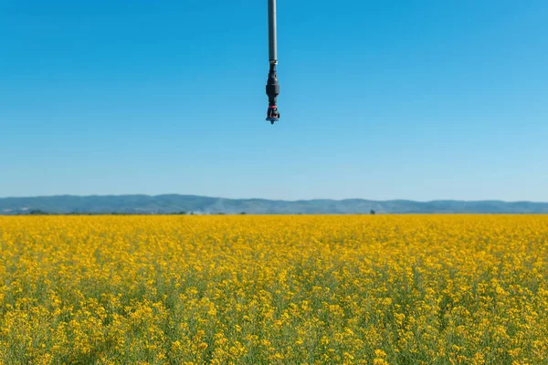 Linear Lateral Move Irrigation Rotator Style Pivot Applicator Sprinkler Rapeseed — Stock Photo, Image