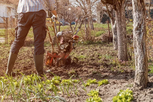 Agriculteur Effectuant Travail Sol Jardin Avec Une Vieille Machine Agricole — Photo
