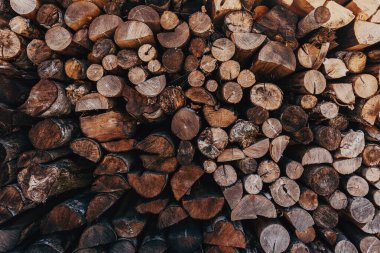 Arka planda ve doğal şablon olarak yakacak odun yığını var.